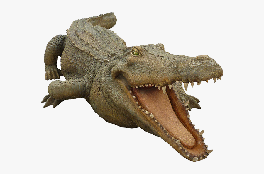 Crocodile Mouth Open, Transparent Clipart