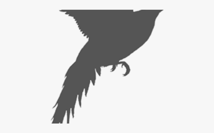 Fish Crow, Transparent Clipart