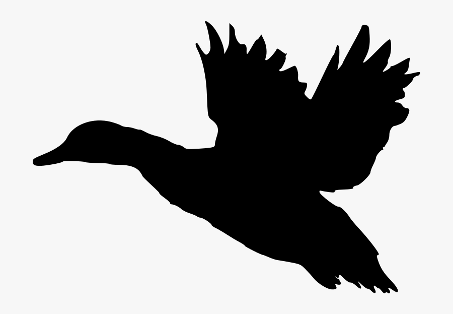Fileduck Sotka1 - Flying Duck Silhouette Png, Transparent Clipart