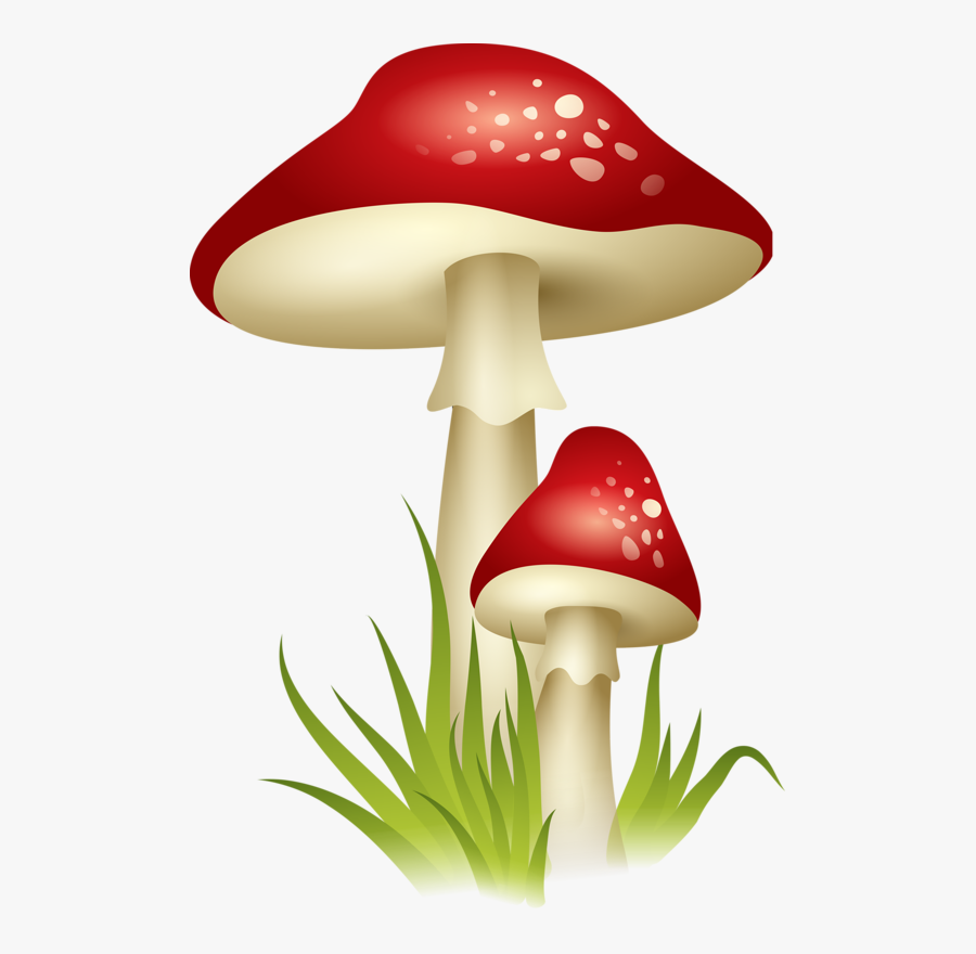 Png Pinterest Mushrooms - Mushroom Clipart No Background, Transparent Clipart