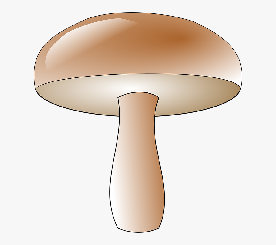 Mushroom, Toadstool, Fungus, Edible, Fungi, Brown, - Mantar Clipart, Transparent Clipart