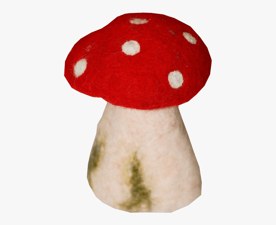 Toadstool Pictures - Medicinal Mushroom, Transparent Clipart