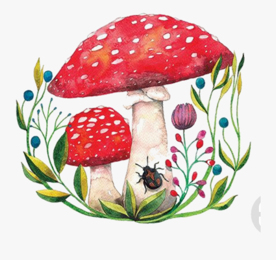 #toadstool - Colours In Mushrooms Drawings, Transparent Clipart