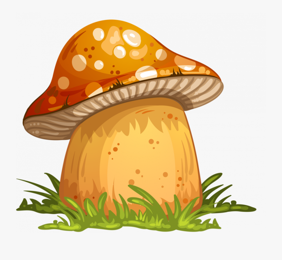 Hongos Y Helechos, Transparent Clipart