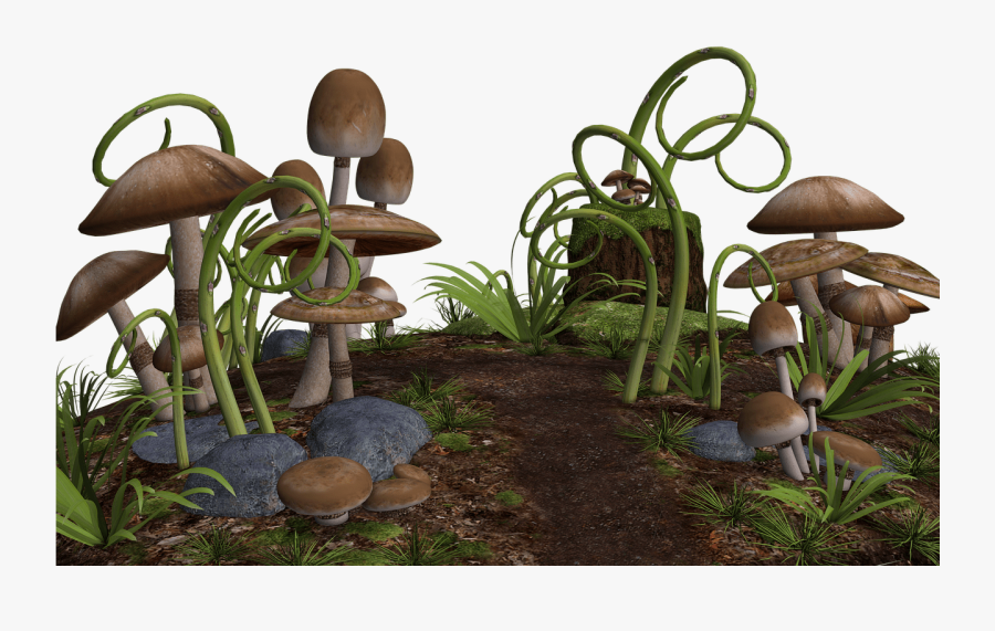 Mushrooms Along Path - Fantasy Mushrooms Png, Transparent Clipart