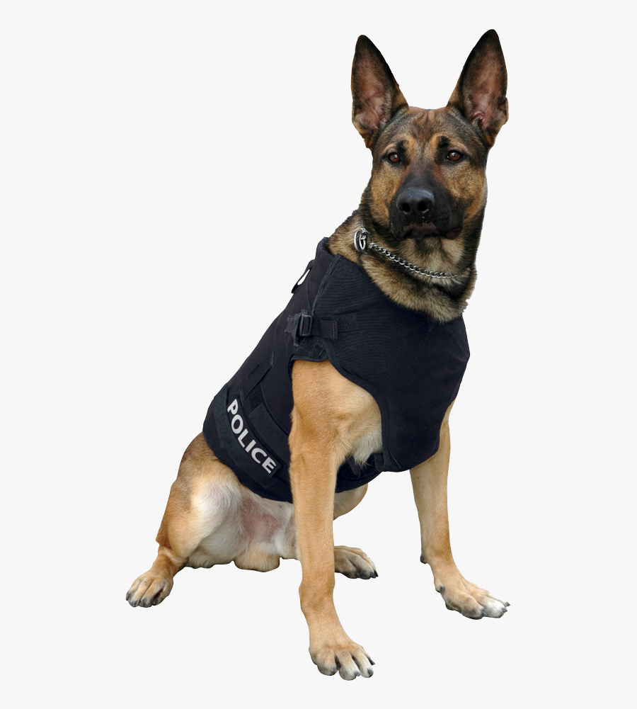 Transparent German Shepherd Puppy Clipart - German Shepherd Police Dog Png, Transparent Clipart