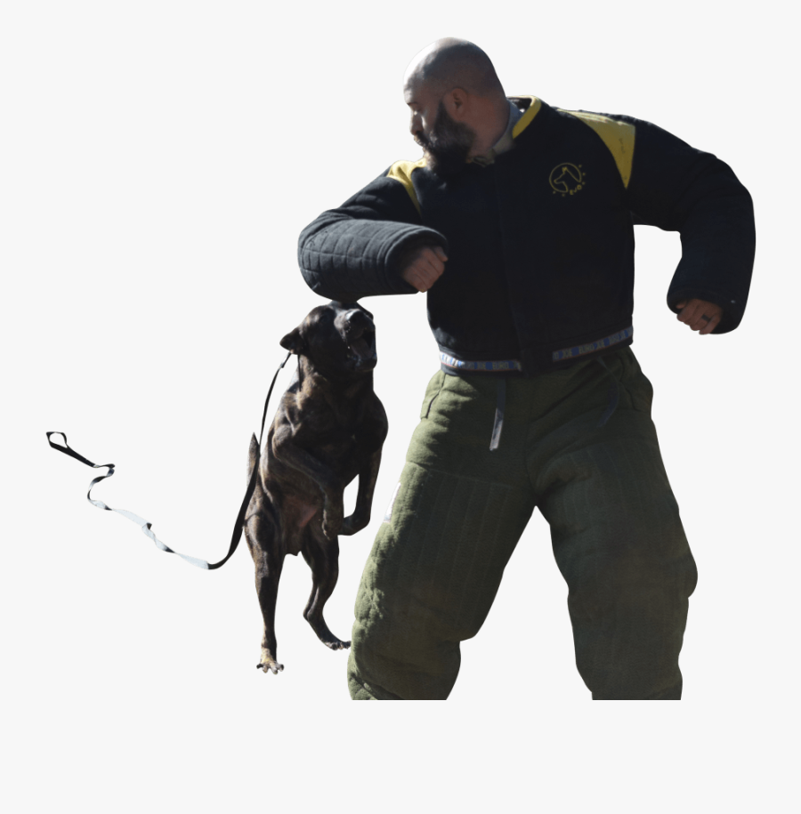 Decoy Equipment Bundle - Police Dog, Transparent Clipart