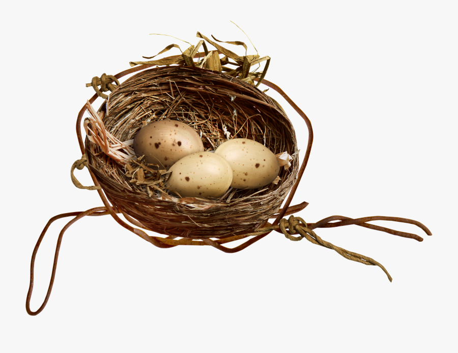Clip Art Empty Bird Nest Clipart - Clip Art Bird's Eggs, Transparent Clipart