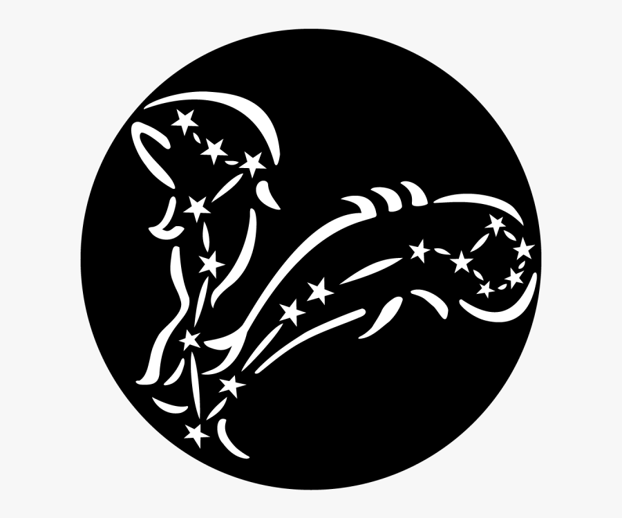 Newt Drawing Quote - Illustration, Transparent Clipart