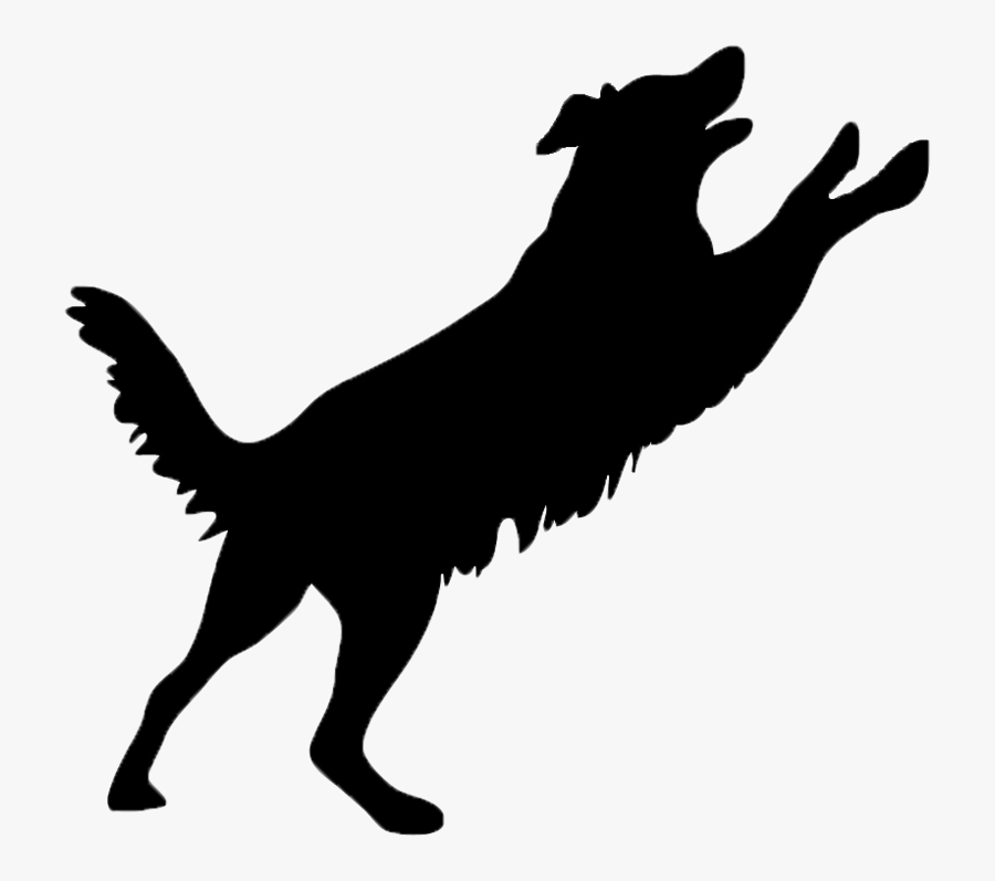 Contact Us For Any Questions Contact Webmaster, Transparent Clipart