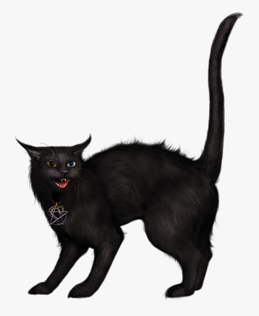Black Cat Clip Art - Creepy Black Cat Clip Art, Transparent Clipart
