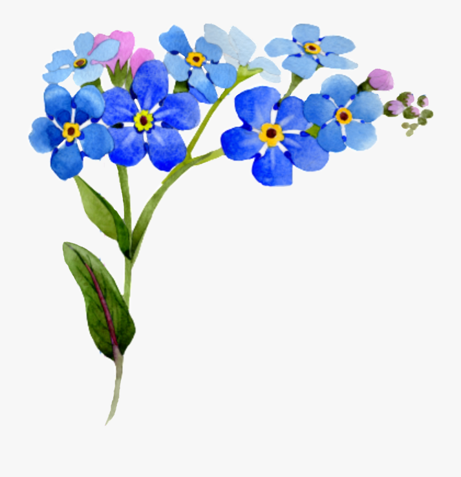#flower #corner #interesting #nature, Transparent Clipart