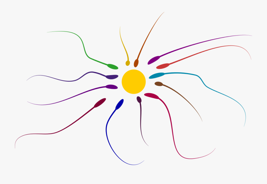 Circle, Transparent Clipart