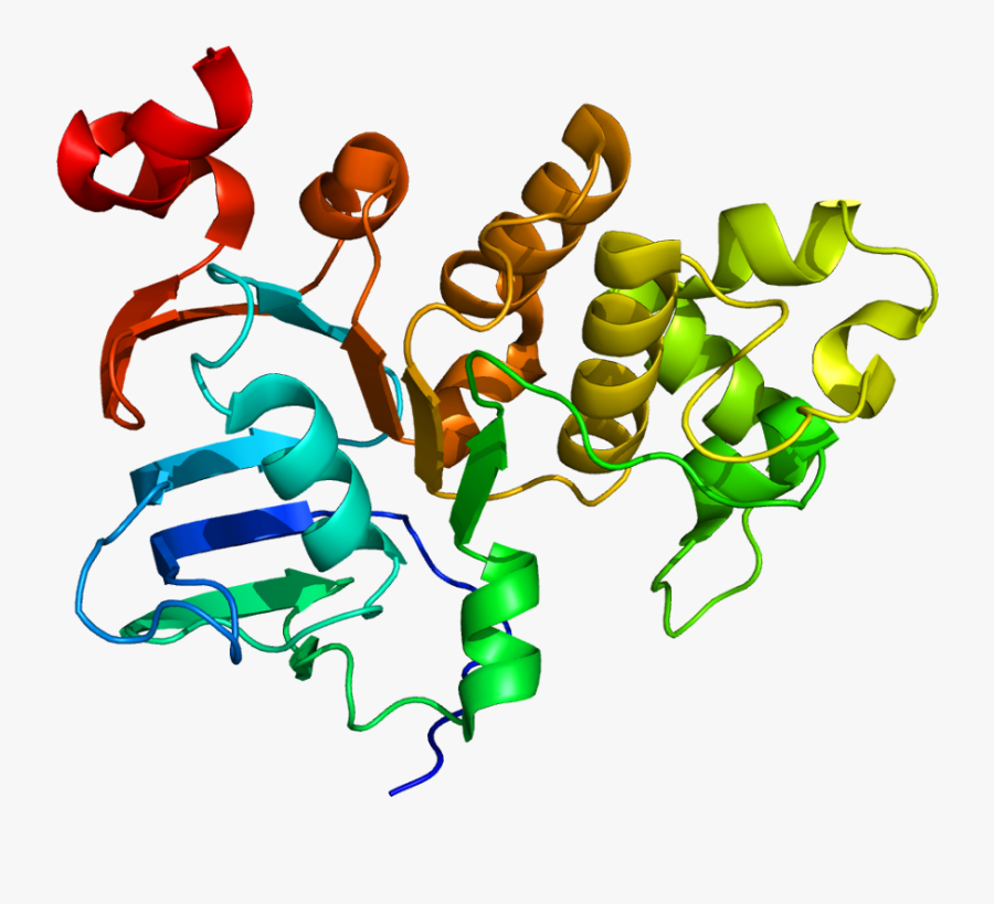 Protein Tap1 Pdb 1jj7 - Graphic Design, Transparent Clipart