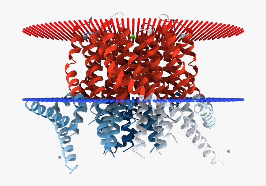 Illustration, Transparent Clipart