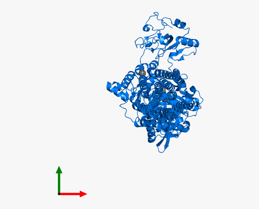 Graphic Design, Transparent Clipart