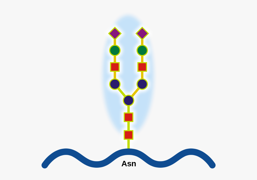 Glycoprotein Png, Transparent Clipart