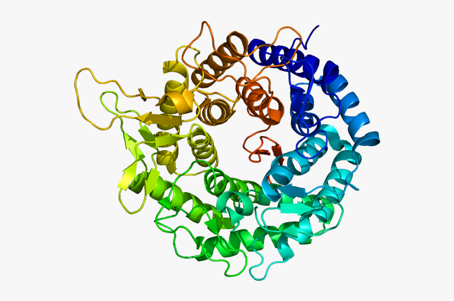 Protein Man1b1 Pdb 1fmi, Transparent Clipart