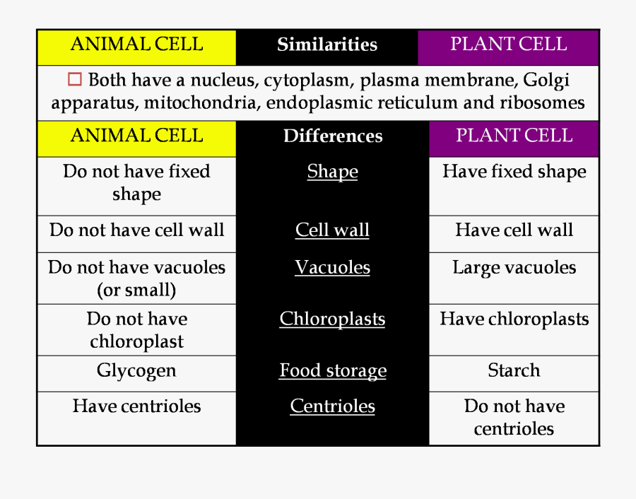 Screenshot, Transparent Clipart