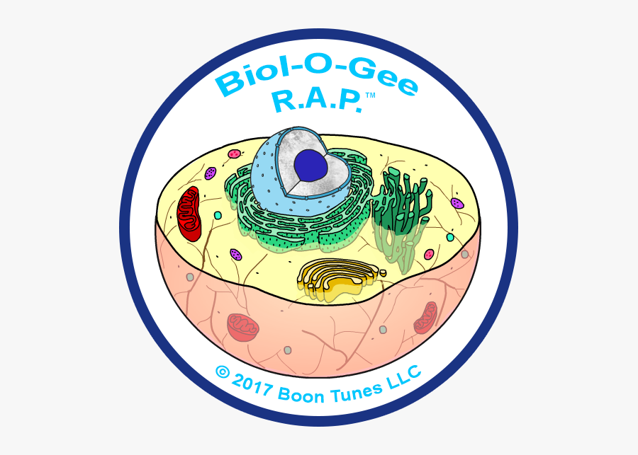 Cell Profile Biology Rap Videos Logo - Circle, Transparent Clipart