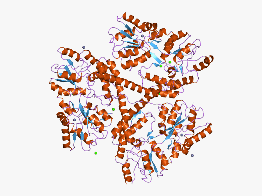 Huntingtin Protein, Transparent Clipart