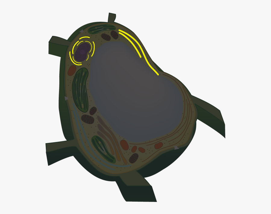 Illustration, Transparent Clipart