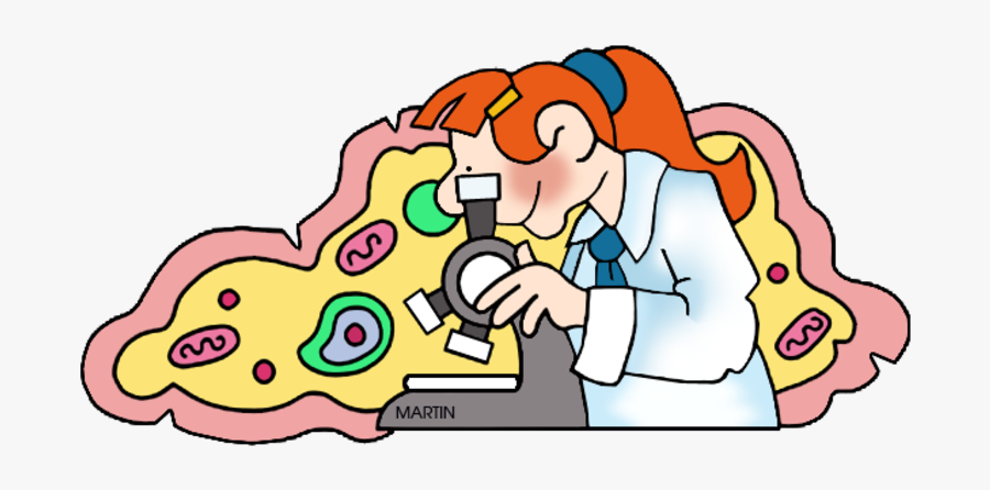 Phillip Martin Clipart Cells, Transparent Clipart