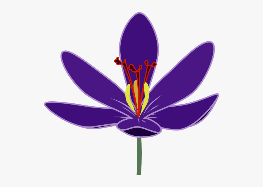 Saffron Flower Png Saffron Icon, Transparent Clipart