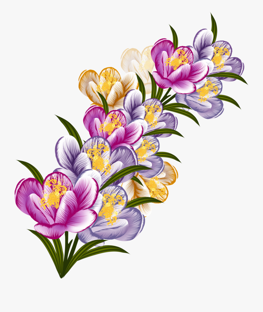 Transparent Crocus Png - Flower, Transparent Clipart