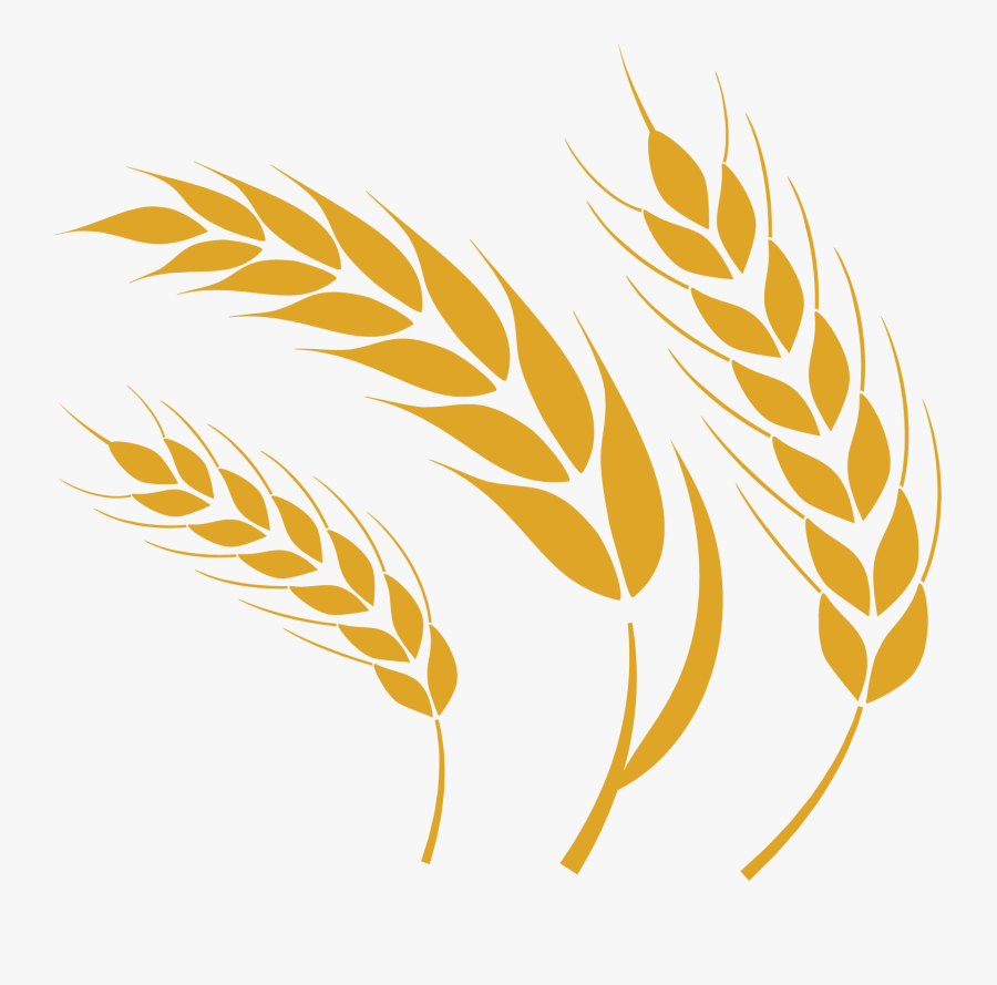 Wheat Png, Transparent Clipart