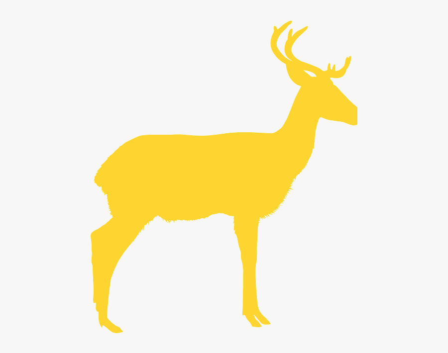 Elk, Transparent Clipart