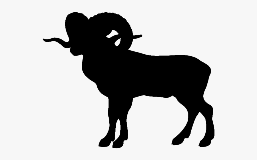 Bighorn Sheep Mountain Goat - Bighorn Sheep Png, Transparent Clipart
