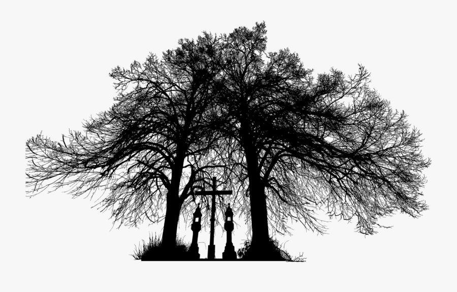 Plant,twig,symmetry - Oak, Transparent Clipart