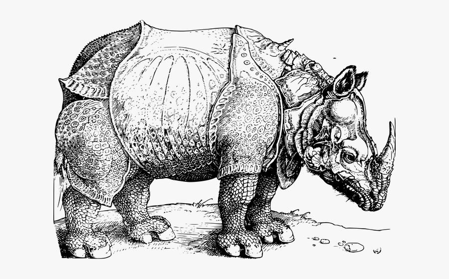 Albrecht Durer British Museum, Transparent Clipart