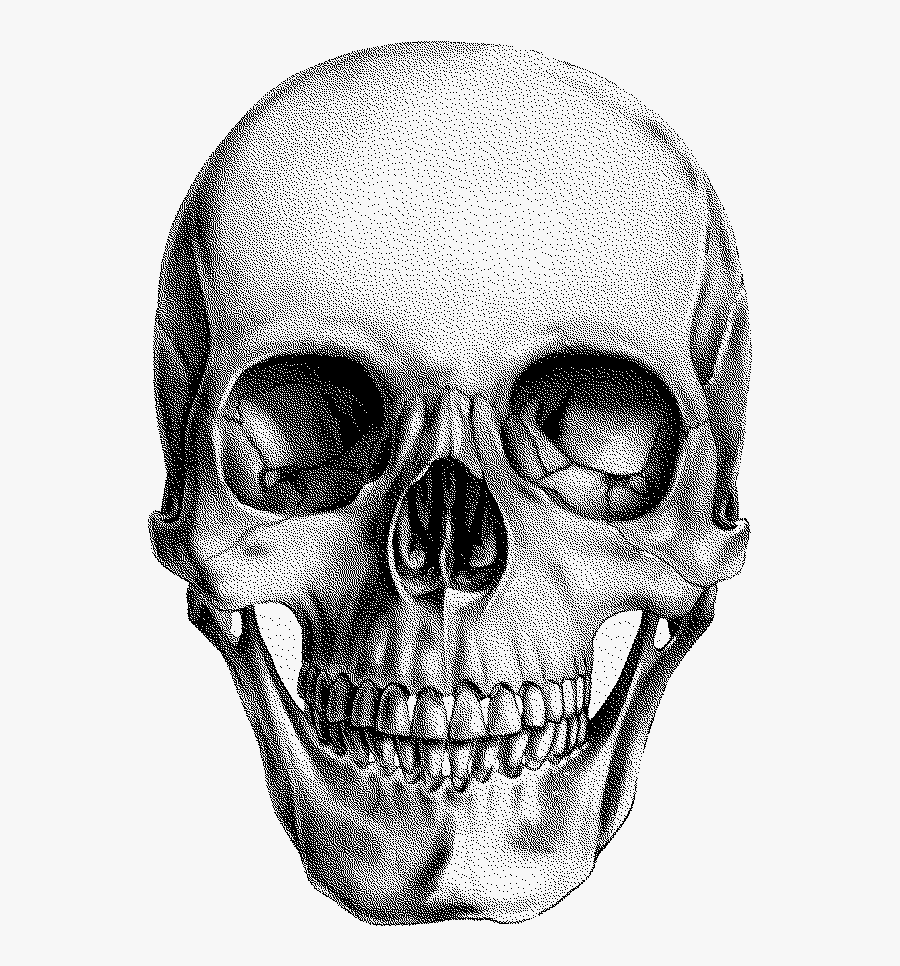Good For Bad Skull - Transparent Background Skull Png, Transparent Clipart