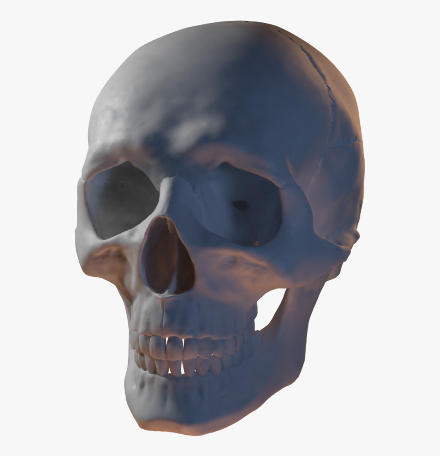 Clip Art 3d Skull - 3d Skull Png, Transparent Clipart