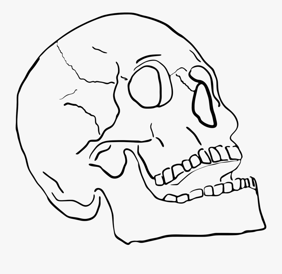 あご が しゃ くれる, Transparent Clipart