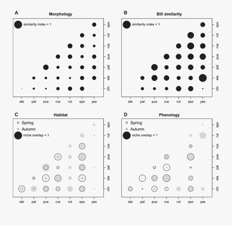 Similarity Of 8 Bunting Species Regarding Morphology - Unhealthy Relationships Word Search, Transparent Clipart