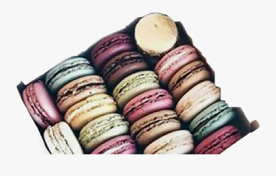 #macaron #aesthetic #france #freetoedit - White Roses And Coffee, Transparent Clipart