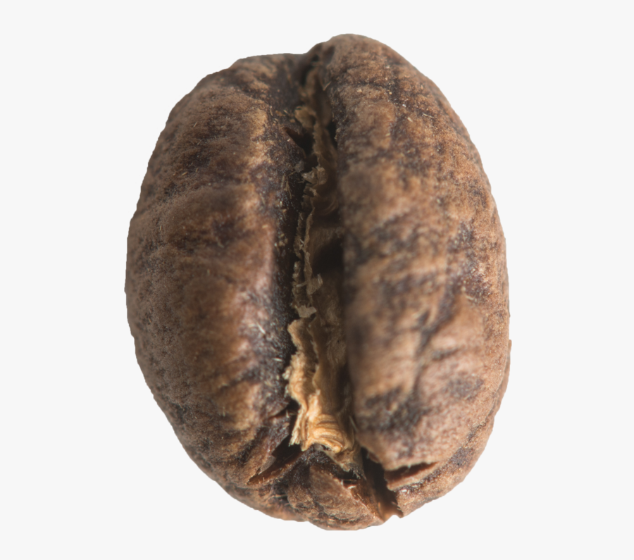 Walnut, Transparent Clipart