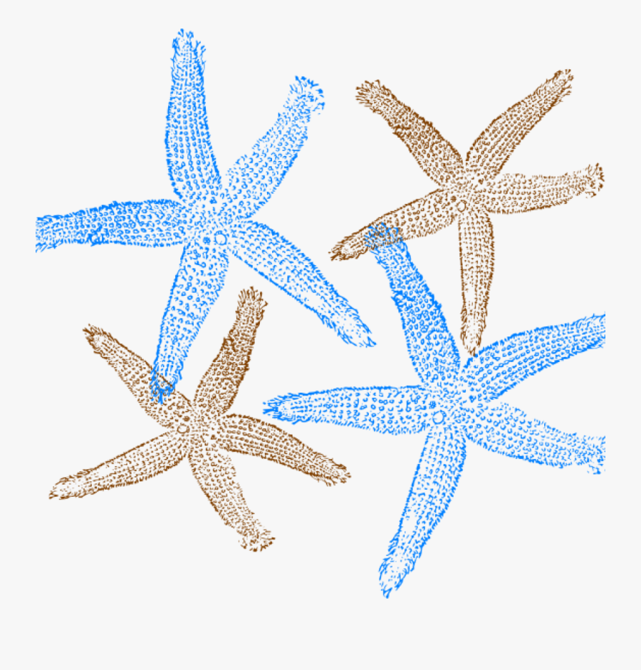 Beach Wedding Clipart - Fish Clip Art, Transparent Clipart