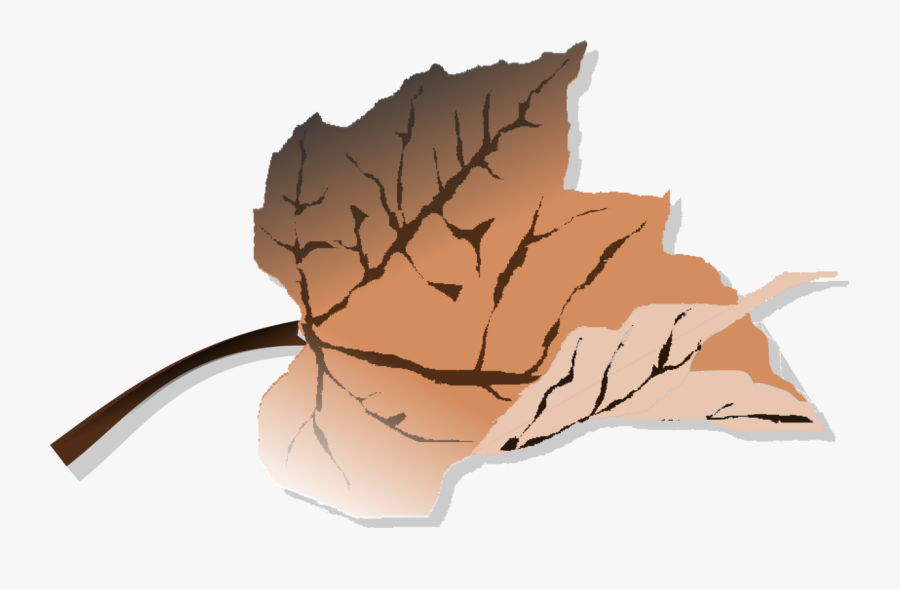 Dead Leaves Clipart, Transparent Clipart