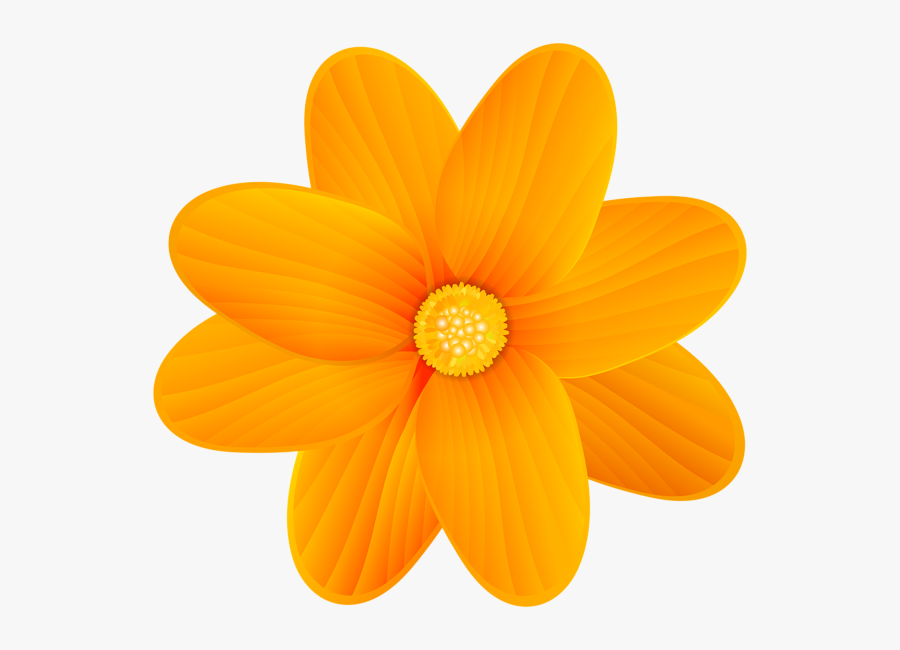 Orange Flowers Png, Transparent Clipart