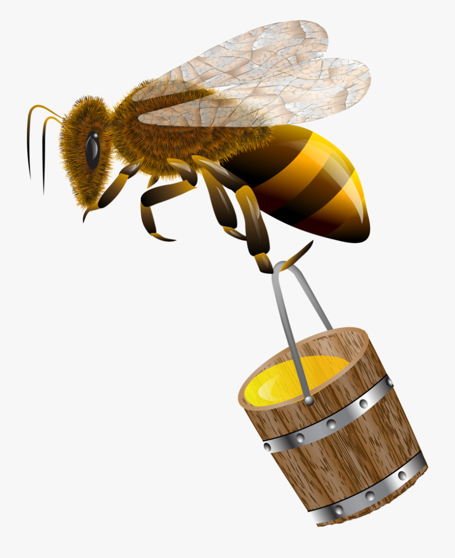 Abelhas Carregando Mel Png, Transparent Clipart