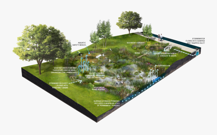 Detention Basin Landscape Architecture, Transparent Clipart