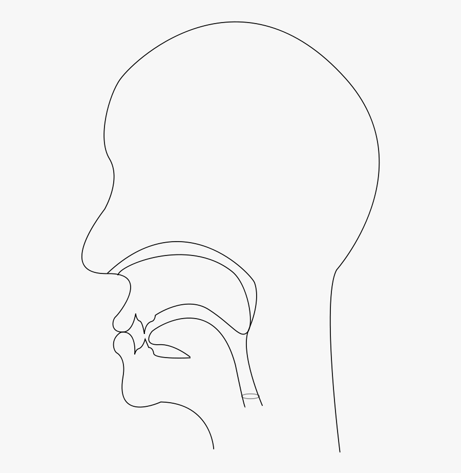 Free Midsagittal S - N Midsagittal, Transparent Clipart