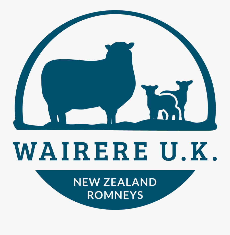 Cattle, Transparent Clipart