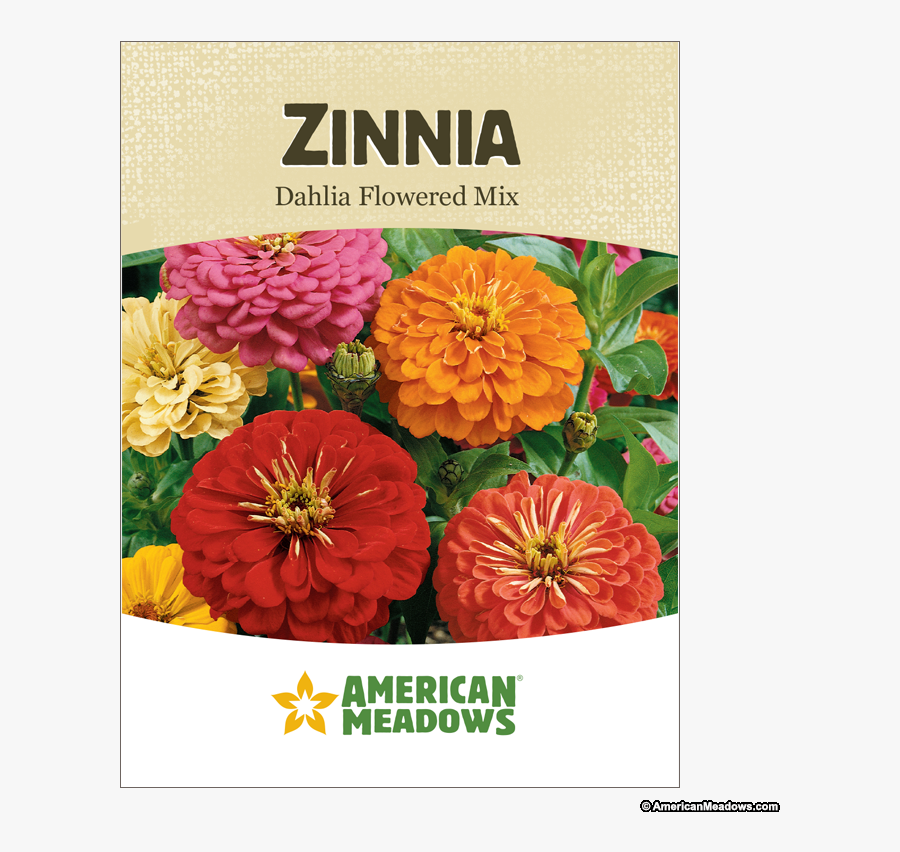 Clip Art Little Business Daylily - American Meadows, Transparent Clipart