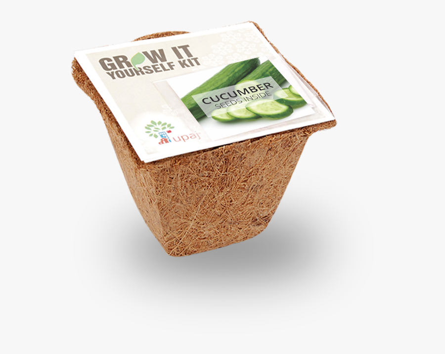 Cucumber Small Giy Kit"
 Class="lazyload Lazyload Fade - Tomato, Transparent Clipart