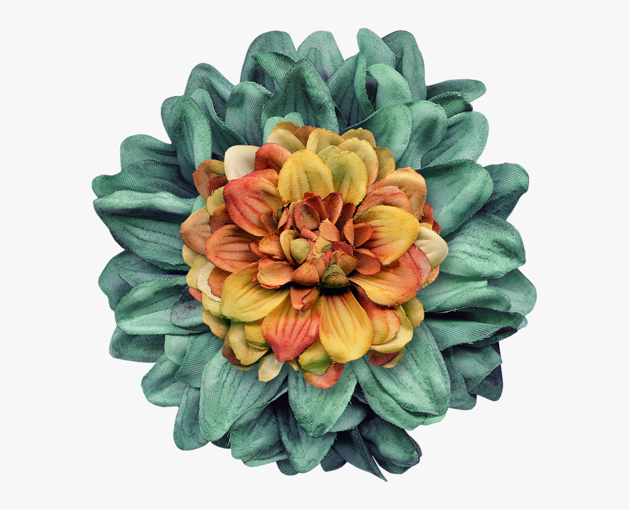 Common Zinnia, Transparent Clipart